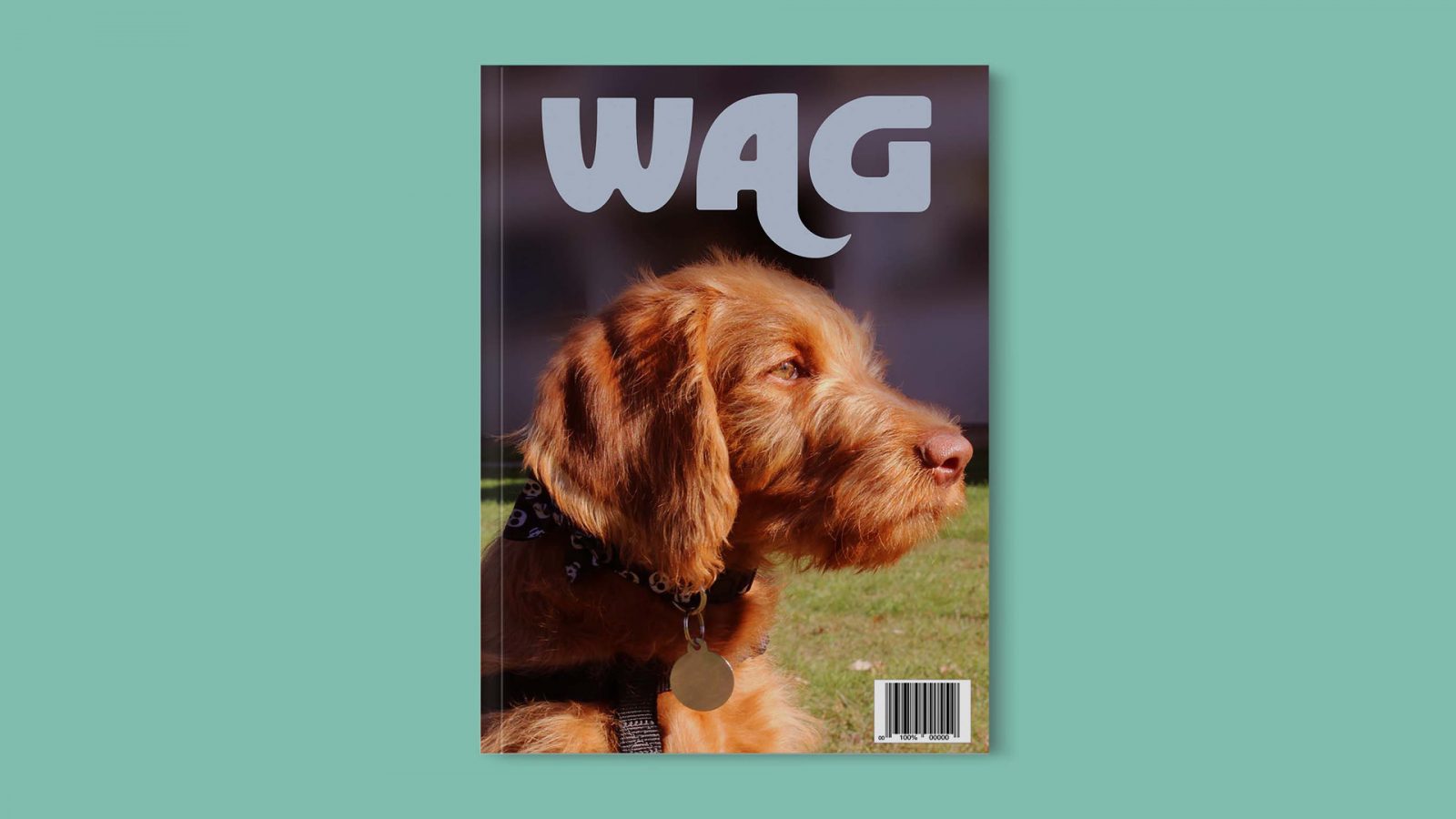 The cover for Wag magazine. The Wag logo is a pale blue. The logo is designed with a thicker sans serif font. The bottom right corner of the letter “A” stretches down into a tail shape. The cover image is a red labradoodle facing towards the right. There is a barcode on the bottom left.