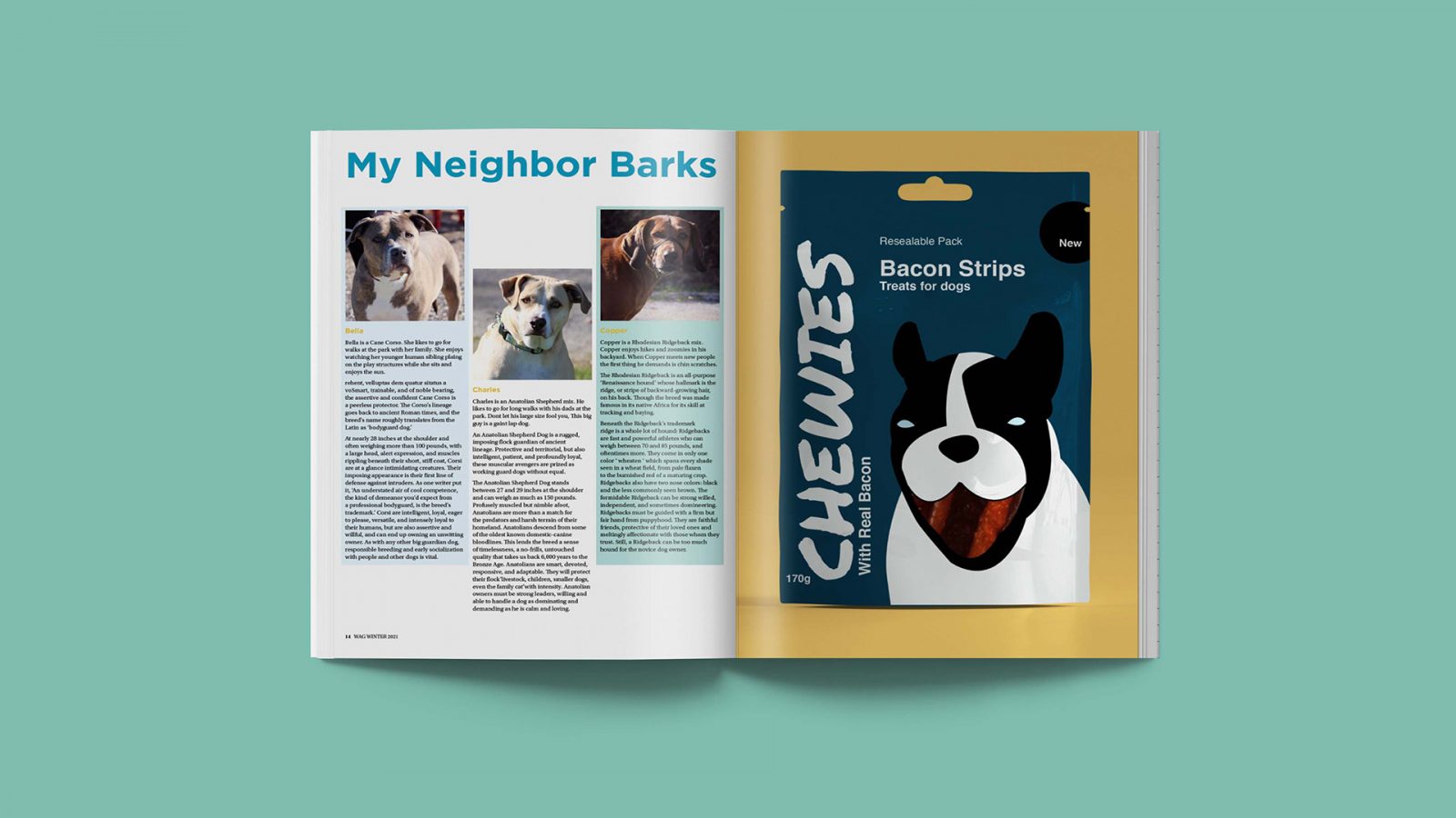 A spread from Wag magazine. The left page title is “My Neighbor Barks” The article consists of three columns with an image of a different dog at the top of each column. The text explains the details about the dogs photographed. The right page is an ad for Chewies bacon strips. The package has a large illustration of a dog.