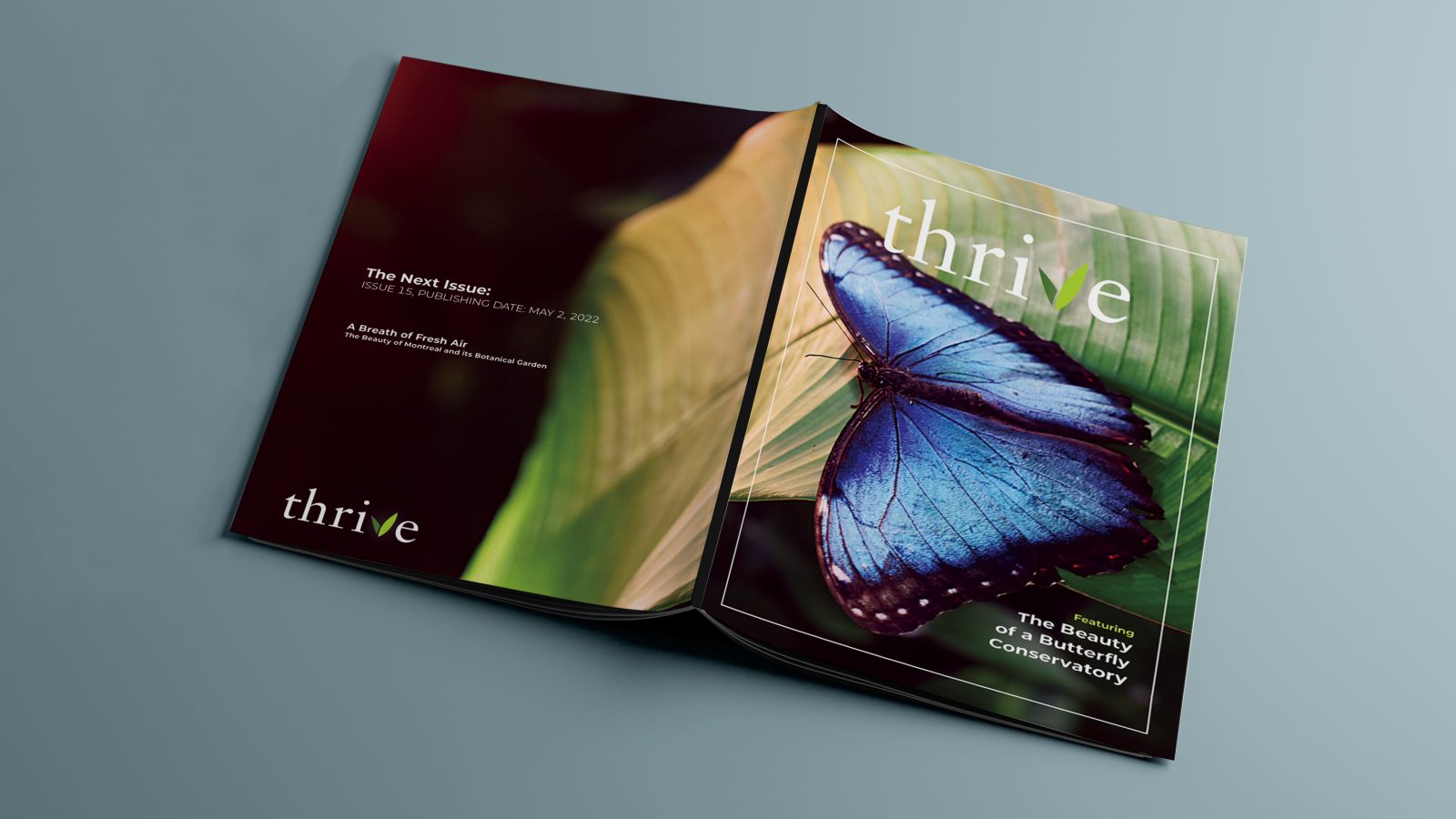 Magazine cover and back cover features a butterfly from the Cambridge Butterfly Conservatory.