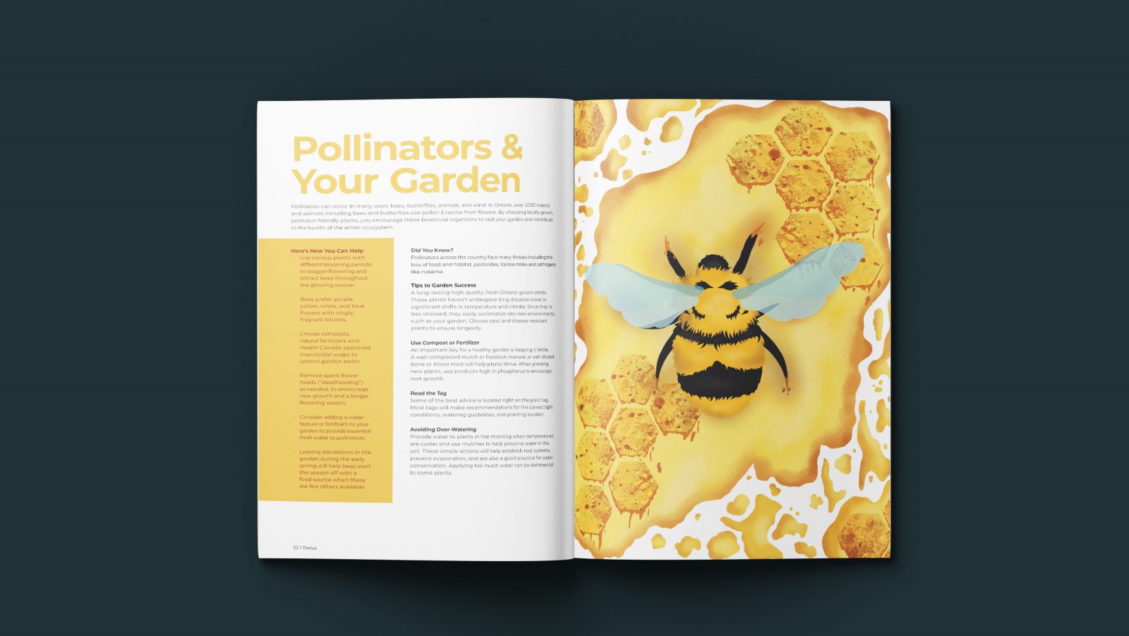 A magazine about pollinators and your garden. On the left, it talks about how to take care of your garden, how you can help, how reading the label will help take care of your plants, and it will tell you if your plants will attract pollinators. On the right page, it has an illustration of a bee in a beehive.