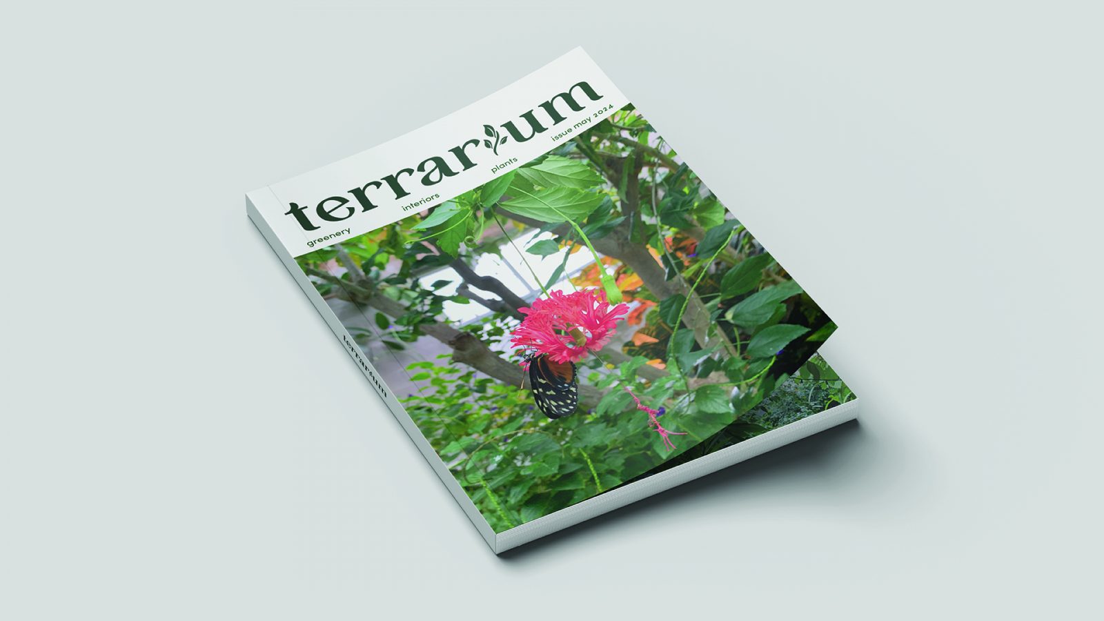 Terrarium is a magazine that highlights the significance of indoor plants, primarily focusing on plant care for both greenhouse and indoor house plants.