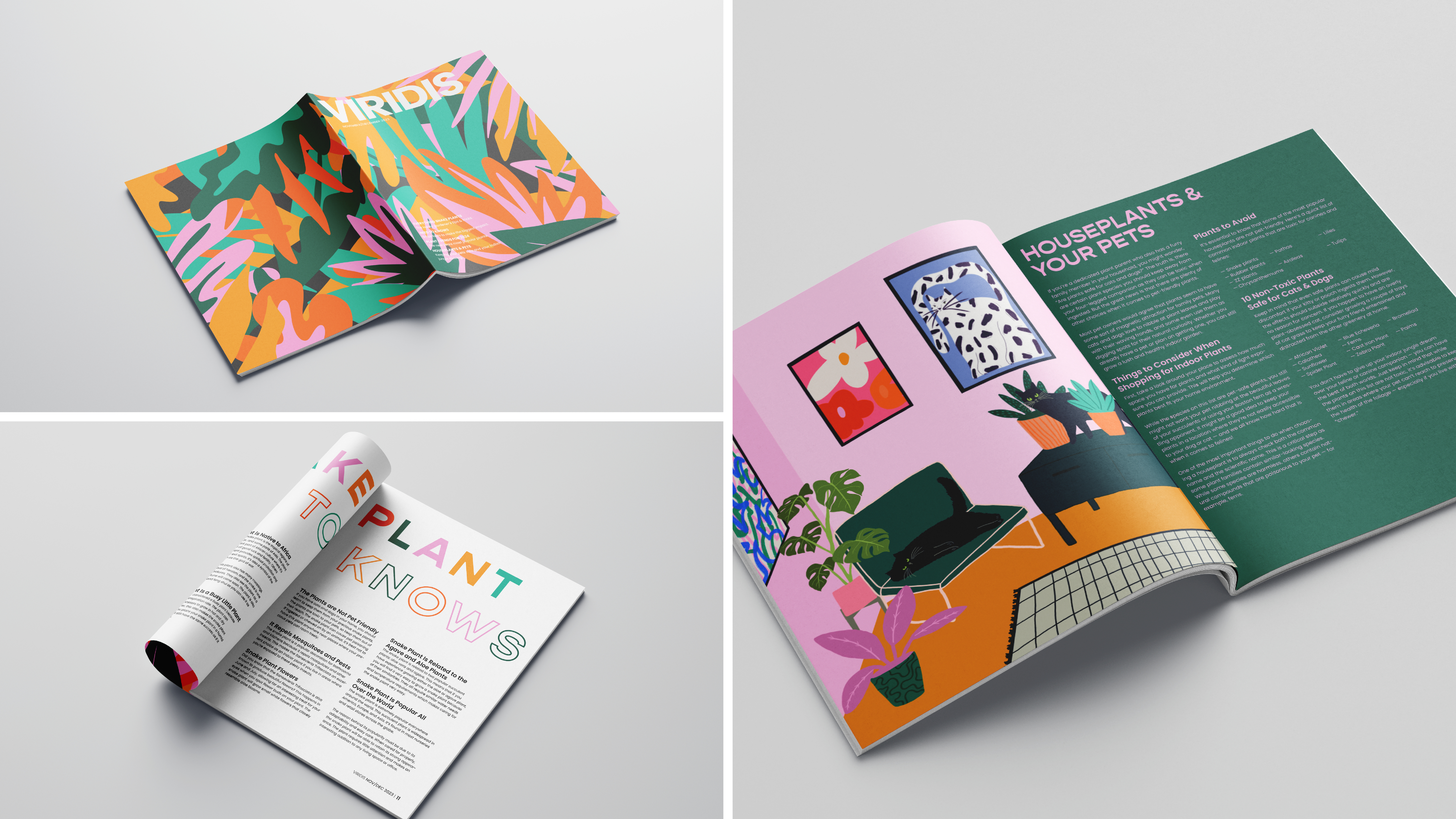 Three additional images showcasing Viridis layouts showcasing the use of vibrant colours and two illustrations from the front cover and the houseplants and pets article depicting a living room scene.