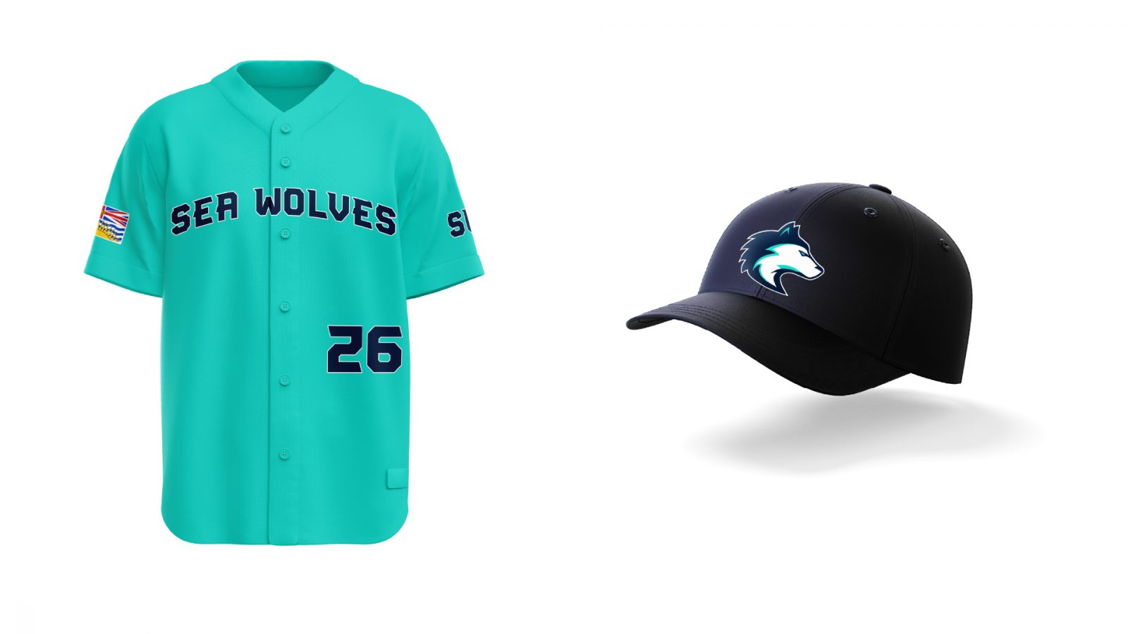 The Vancouver Sea Wolves are an expansion Major League Baseball team. The colours represent the Pacific Ocean that is the lifeblood of British Columbia. The identity incorporates various wave forms as well as an abstract V shape for the ear.